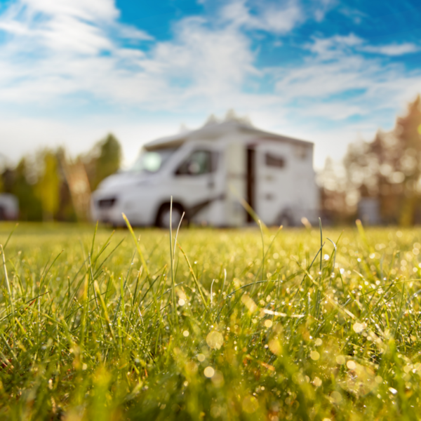 Motorhome / Campervan / Roof Tent Pitches